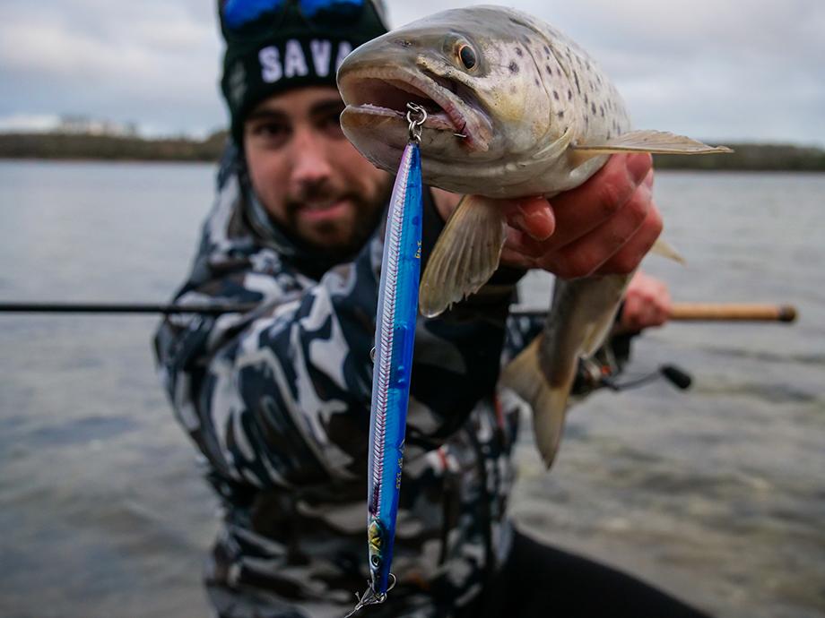 3 tips for seatrout fishing NOW
