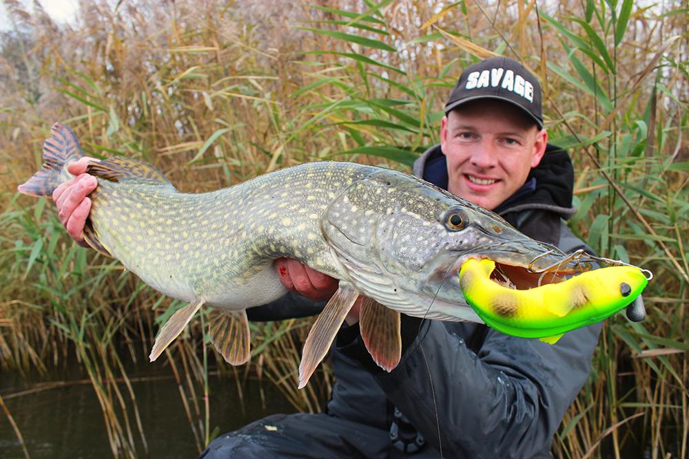 Lure fishing for pike