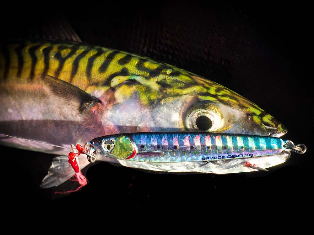Born To Fish King mackerel fishing red camo Custom 3D UV protection -  CornBee