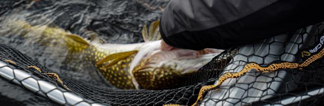 Savage Gear Glass Rattle Kit - Pike Perch Predator Fishing GET A