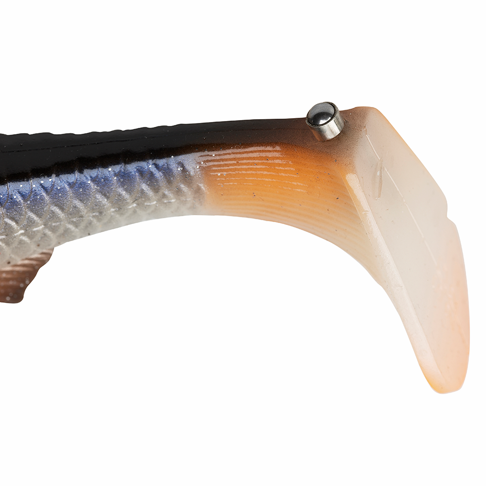 4D PIKE SHAD